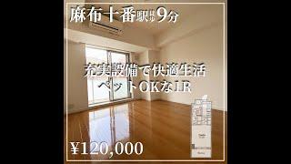 【麻布十番駅の賃貸】1K ペット可！南麻布の高級マンション