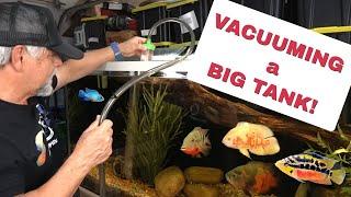 VACUUMING a BIG TANK *[How I Do It]*