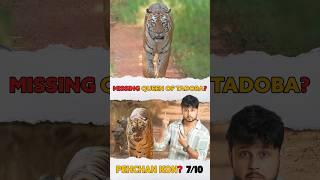 Queen  of Tadoba TigerReserve Forest | 07/10