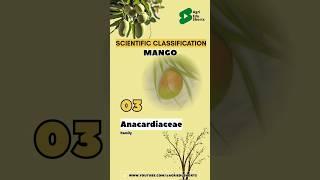 MANGO - Scientific Classification #shorts