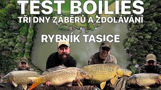 TEST BOILIES - TŘI DNY ZÁBĚRŮ A ZDOLÁVÁNÍ - RYBNÍK TASICE - TOUR COMMERCIAL - TEST KRMÍTKO X BOILIES