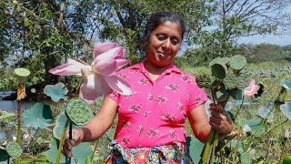 Lotus seeds Recipe These seeds can be used to make nutritious food..village kitchen recipe