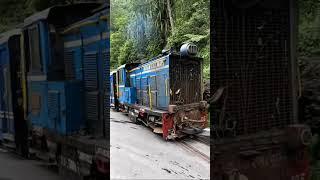 pagla jhora waterfall Darjeeling | 52541 Darjeeling toy train.