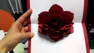 [모란꽃] 팝업카드 만들기 Peony Blossom Pop-Up Card