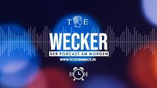 Grenzen schliessen oder nicht? Merz läßt Migrationsgipfel platzen  - TE Wecker am 11 09 2024