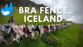 Bra fence in Iceland