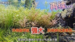 升级版草缸，强大的底砂过滤系统，所有问题都不是问题   再续