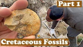 Marine fossils in the mountains! +Camping in the wild - Part 1