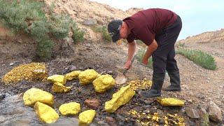 I'm digging up gold nuggets! Untouched place