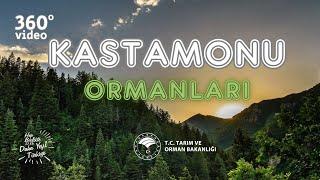 Kastamonu Ormanlarımız 360°