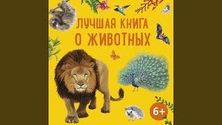 Крылатые создания