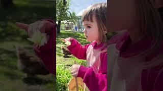 #chicken #funnyshorts #funnyvideo #funny # #music #song #дети #kids #village #villagelife #деревня