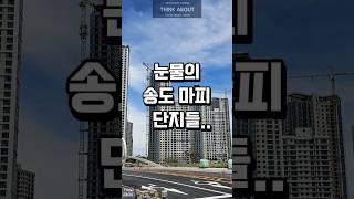 송도 마피단지들. 분양권 폭탄돌리기? 송도자이더스타, 힐스테이트레이크송도4차, 송도럭스오션SK뷰, 송도자이크리스탈오션