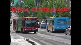 NeoplanDude | S6EP08: Buses of Pittsburgh PAT, Revisit!