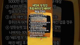 이재명 정부 특별 채무조정, 빚 탕감 대상 #정부정책