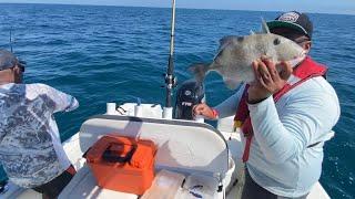 How I Find Fish Offshore of Tampa Bay