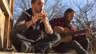 Woodnitza - Aidu (Eluveitie Cover Tin Whistle & Acoustic Guitar)