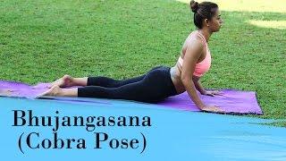 Yoga Asana - Bhujangasana (Cobra Pose) - Relieves Stress & Fatigue