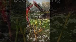 We Planted 500 Trees over Winter '24