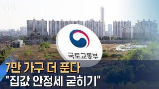 서울 도심에 7만 가구 더 푼다…"집값 안정세 굳히기" / SBS