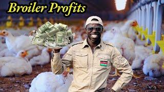 How Much Profit Does a First Timer Make From 100  Broilers