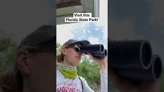 Visit #PaynesPrairie Preserve in #Florida to see WILD HORSES! #Staytuned to see WHAT ELSE I SAW 