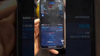 Consistency is the key  #forextrading #stockmarket #bigbull #trading #smc #nifty #investment