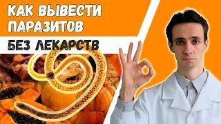 Топ 9 самых эффективных средств от глистов