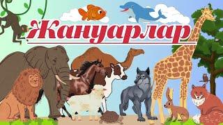 Жануарлар| Животные| Learn Animals #animals #животные #жануарлар