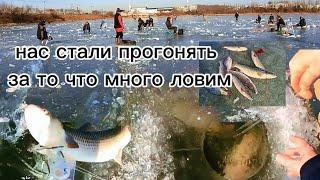 ЭТИ ОГРОМНЫЕ РЫБЫ просто разорвали мои ХАПУГИ #рыбалка #fishing #낚시 #carpfishing