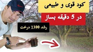 این کود خانگی در پنچ دقیقه ساخته شده و رشد درختان را چند برابر میکند. بدون هزینه و آسان