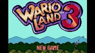 Wario Land 3 (GBC) - 100 Treasures Longplay