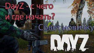 Как и где начать играть в Dayz в 2024 году. Сервер Тишина Городов. Советы новичкам и главные ошибки.