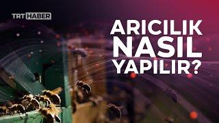 Arıcılık nasıl yapılır?