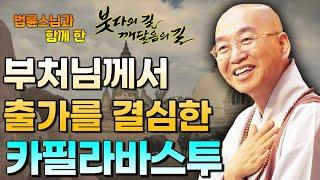 부처님께서 출가를 결심한 카필라바스투 [법륜스님의 붓다의 길]