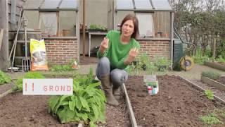 Je eerste moestuin? De bodem is alles!