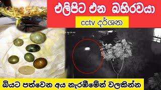 එලිපිට ගෙදරට එන බහිරවයා /cctv දර්ශන nidan wasthu nidan godaganima nidan salakunu ashiya production