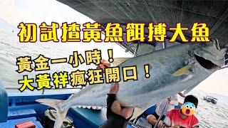 【西水艇釣】初試揸黃魚餌搏大黃祥魚 黃金一小時！大黃祥瘋狂開口！ #船釣 #釣魚 #fishing #艇釣 #黃祥