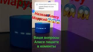 станция Алиса|пранк|приколы 2023#shorts