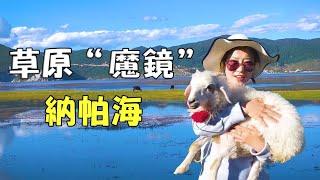 香格里拉必打卡景點：納帕海，湖泊和草原的完美融合！ 【微博游記】