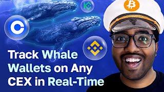 How to Track Whale Wallets on Any CEX in Real-Time (Binance, Coinbase & More)