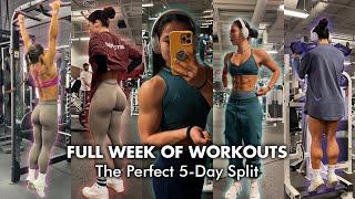 THE WORKOUT SPLIT THAT TRANSFORMED MY PHYSIQUE (my current split)