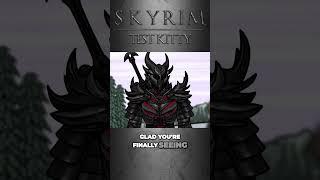 Senile Scribbles: Skyrim - Test Kitty