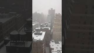 官心你的食衣住行育樂  2024年8月7日  聖誕節 下雪了 應景 snow 美國 紐約 New York Kimpton Hotel Eventi Merry Chrismas 銀色世界 超美