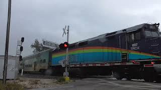 Trains In The Pouring Rain! Tri-Rail & Amtrak 92 At Boynton Beach 2-18-24