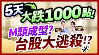 【5天大跌1000點！M頭成型？台股大逃殺!?】2024.11.14 台股盤後 (CC字幕)