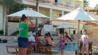 Анимация в Hilton Sharks Bay