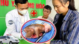 Take the baby monkey to the doctor, hope all goes well