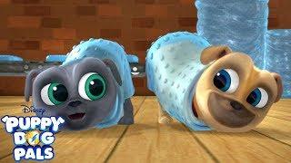 Bubble Wrapped! | Music Video | Puppy Dog Pals | Disney Junior