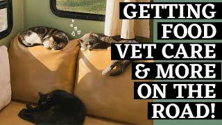 RVing with Cats - The Ultimate Guide to Traveling Full Time in 2023